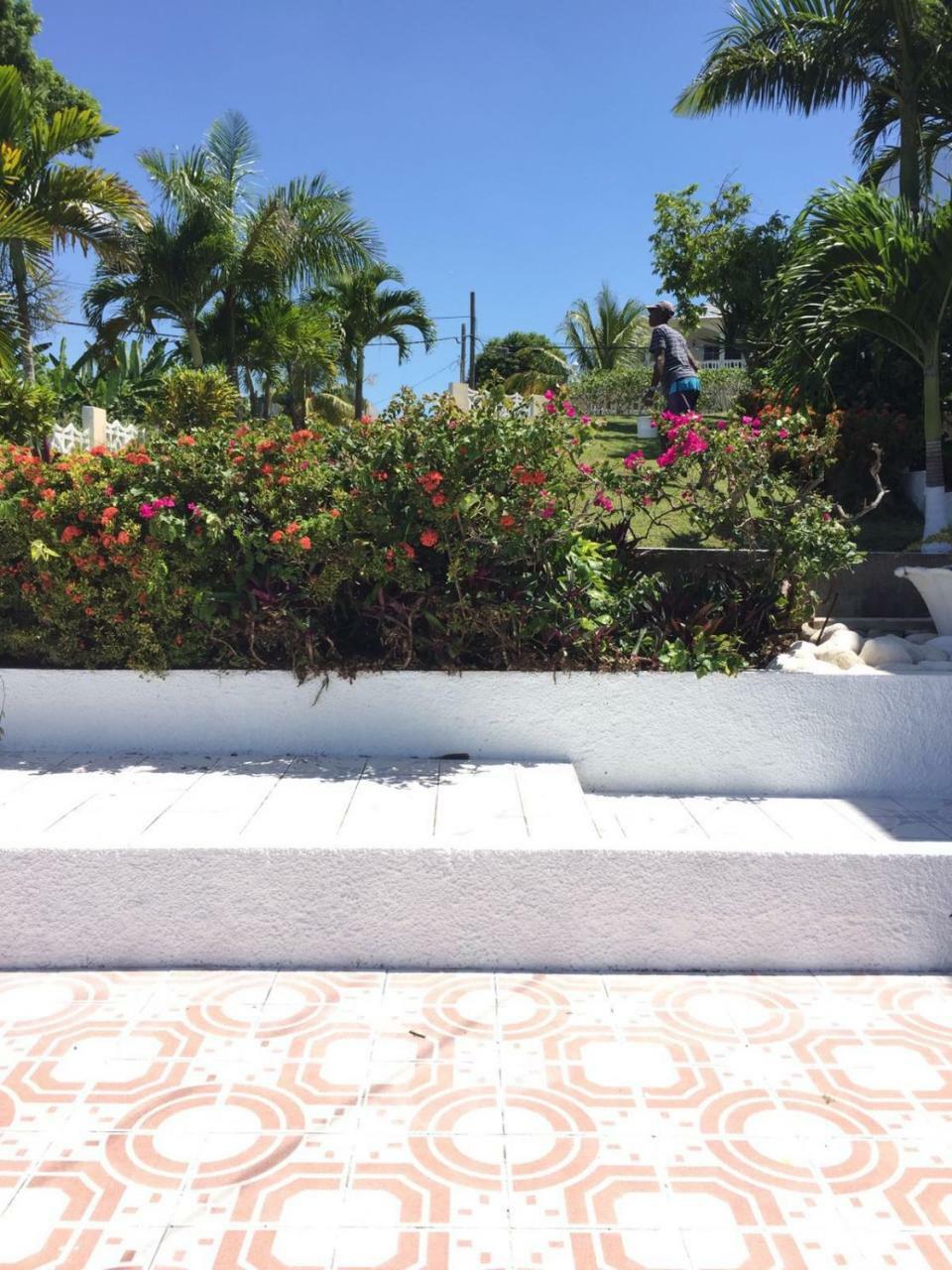 Goldenview Guesthouse Ocho Rios Ngoại thất bức ảnh